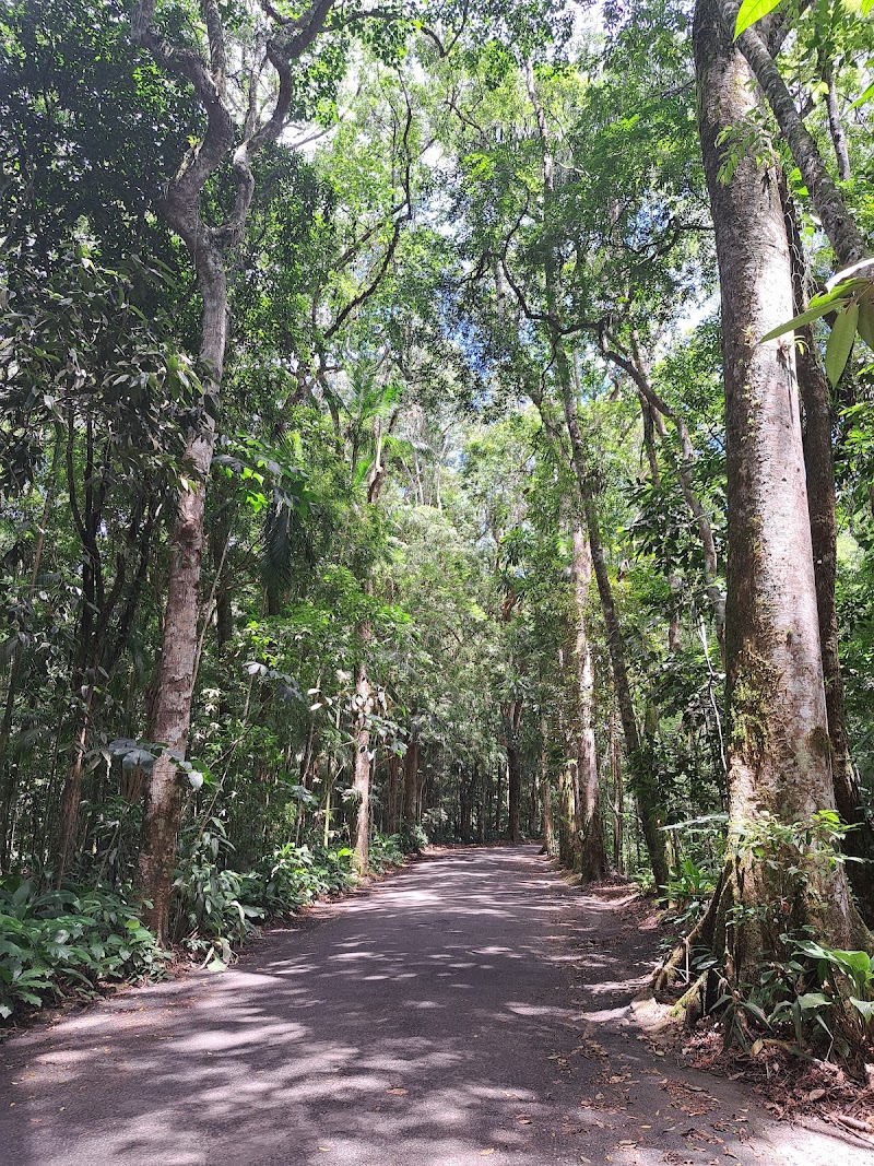 Tijuca, Rio de Janeiro